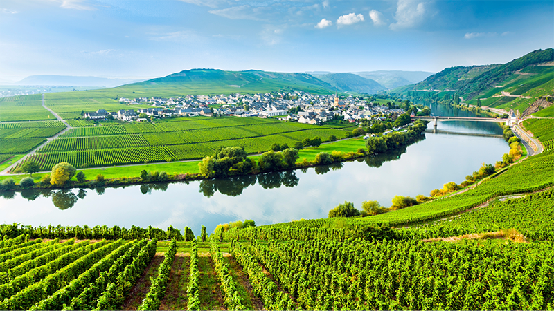 Floden Mosel