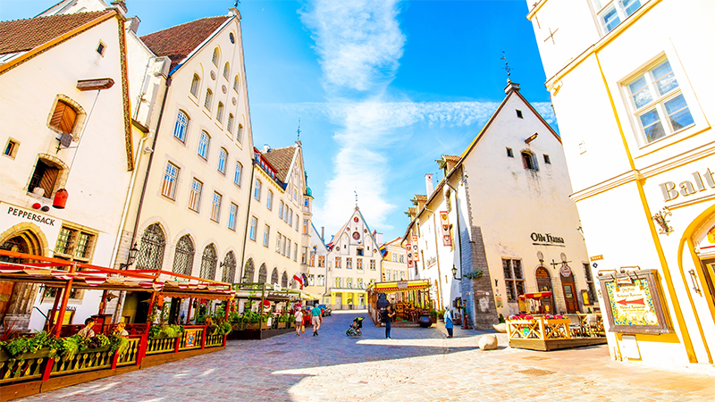 Gamla Stan i Tallinn med Old Hansa i bakgrunden och mysiga gr�nder.