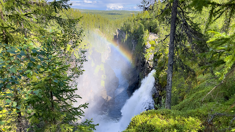 Vildmarksv�gen till Vilhelmina